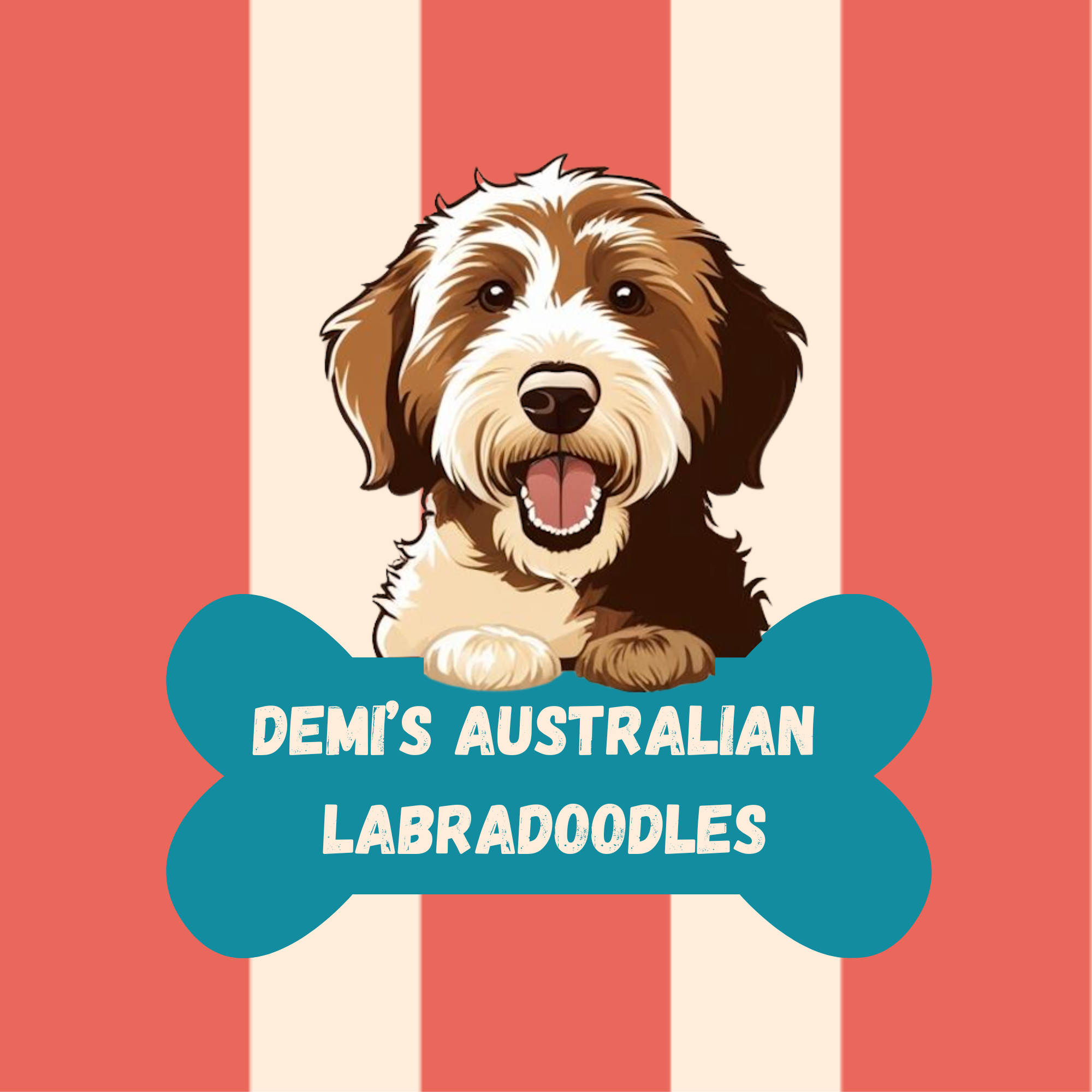 Demi’s Doodle Spa